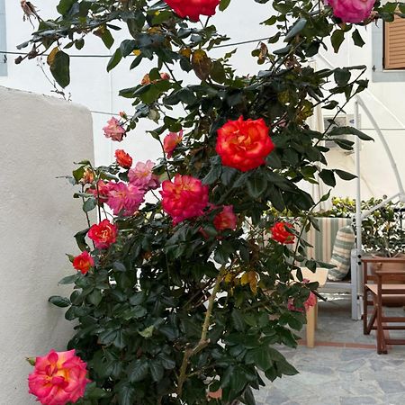 Dominik Apartment سكالا المظهر الخارجي الصورة